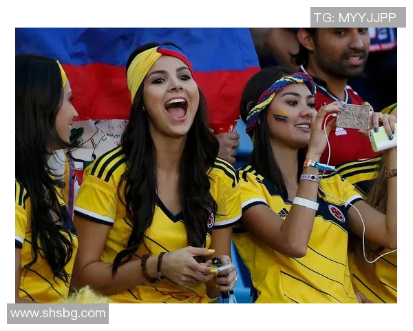 足球世界杯观众观赛体验及未来趋势