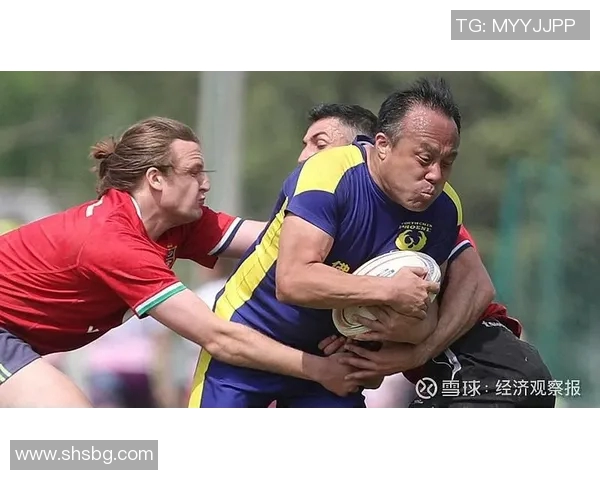 职业橄榄球中对抗强度与球员受伤频率统计分析